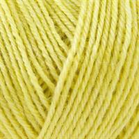 1019 Citron Nettle Socks Yarn