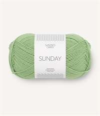 8733 Spring Green, Sunday