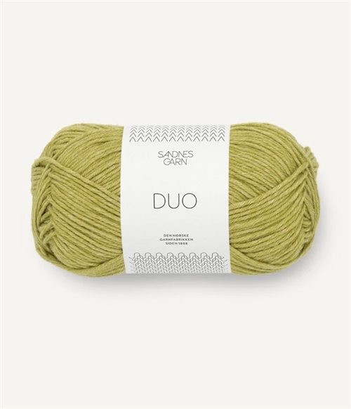 9825 Sunny Lime, DUO